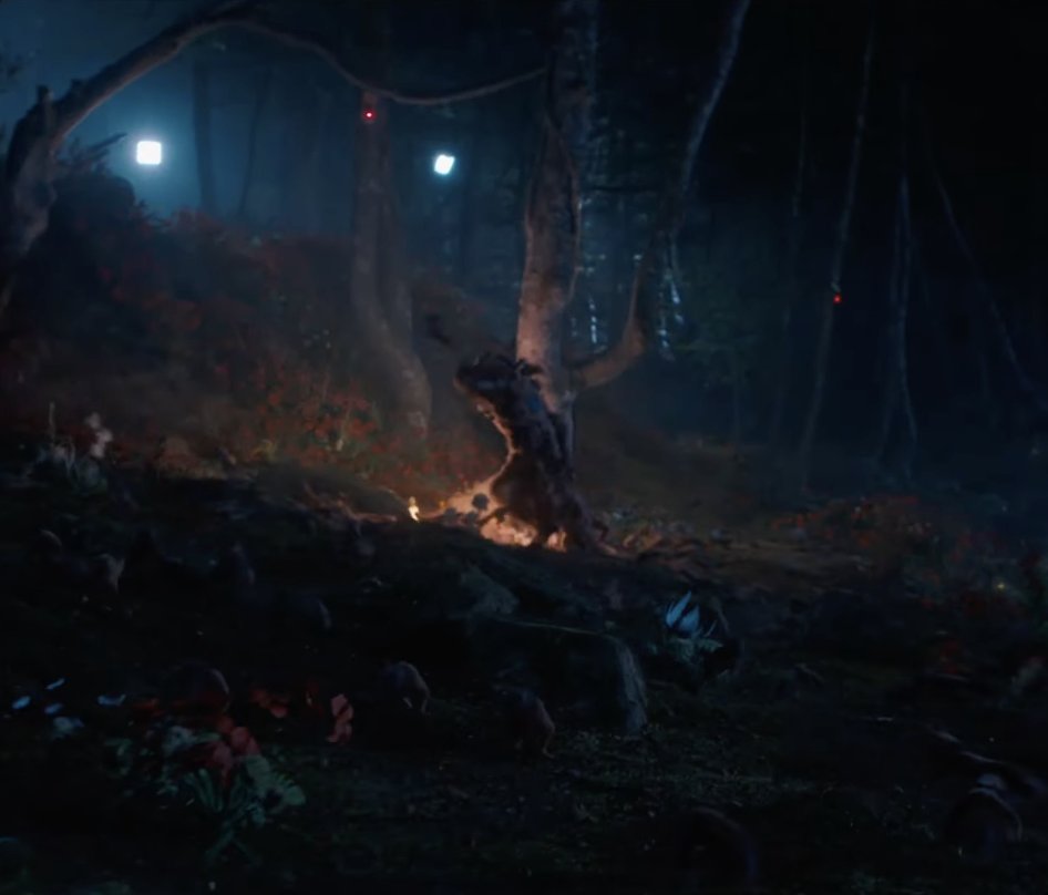 wisegirlbaird's tweet photo. SQUIRRELS AND ELECTRIC BLUE KILL ME NOW. https://t.co/VfbFPo1sUR