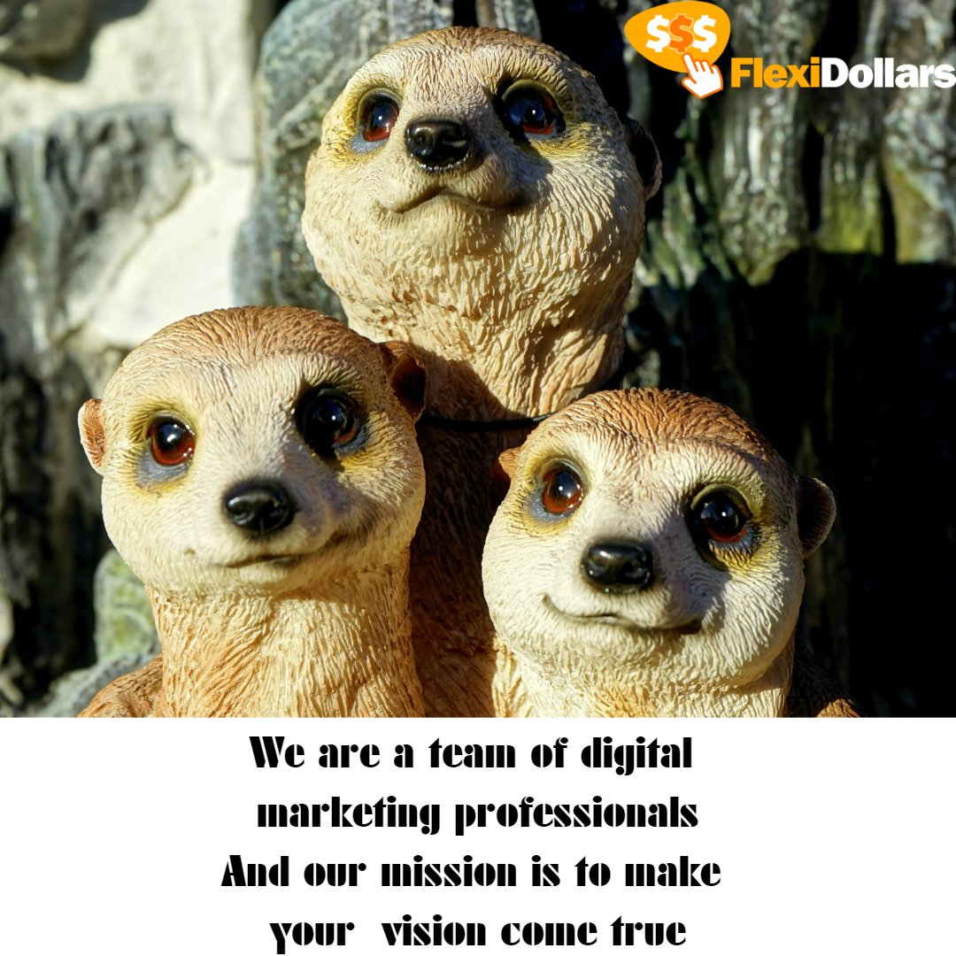 flexi_team's tweet photo. We are a team of digital marketing professionals
And our mission is to make your vision come true
Please LIKE &amp; SHARE and support us on this exciting new journey!

#teamflexidollars #startonlinebusiness #makemoneyonline #diywebsite #diyblog #makemoneyfromblog https://t.co/5rQOTwdUAr