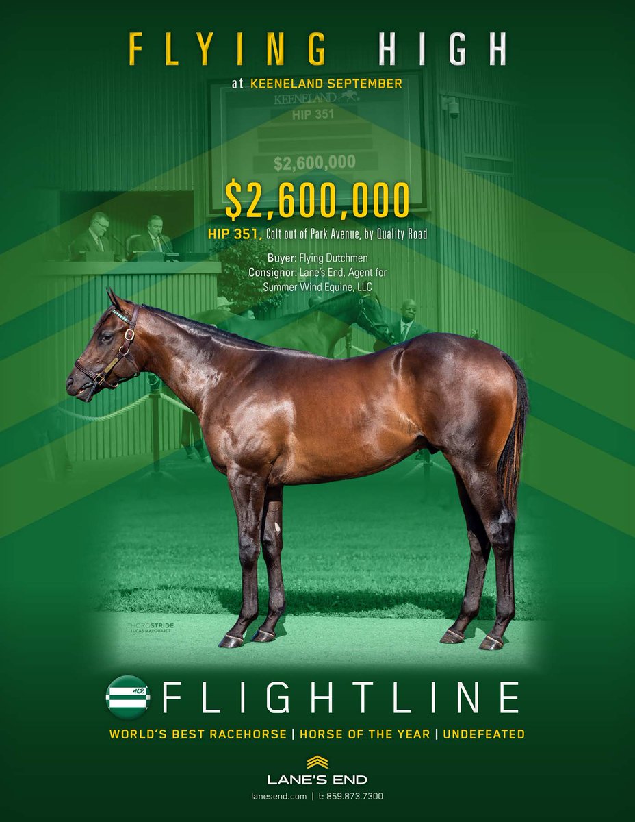 FlightlineFans's tweet photo. 🔥𝗙𝗟𝗜𝗚𝗛𝗧𝗟𝗜𝗡𝗘 𝗙𝗘𝗩𝗘𝗥 continues at @Keeneland September with six (so far) selling for more than $1 million! #KeeSept
#Flightline Fever
#フライトライン フィーバー
@LanesEndFarms https://t.co/Yb5jPDUfCZ