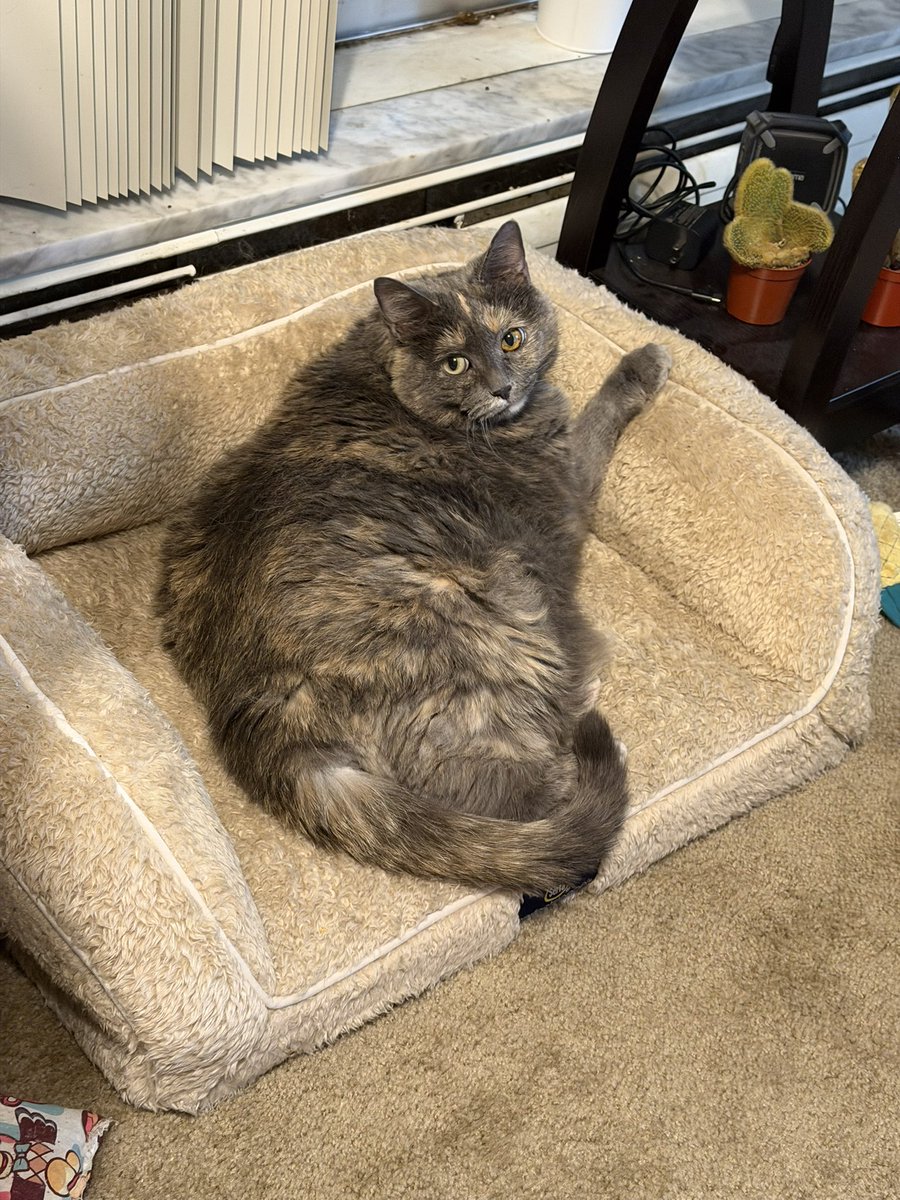 getakluber's tweet photo. Gracing your timeline with old lady Kiki https://t.co/0XhgUxOHC7