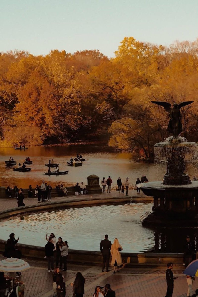 naturebeauty760's tweet photo. Autumn in New York 🇺🇸 🍂 https://t.co/KMOtCMVbhR