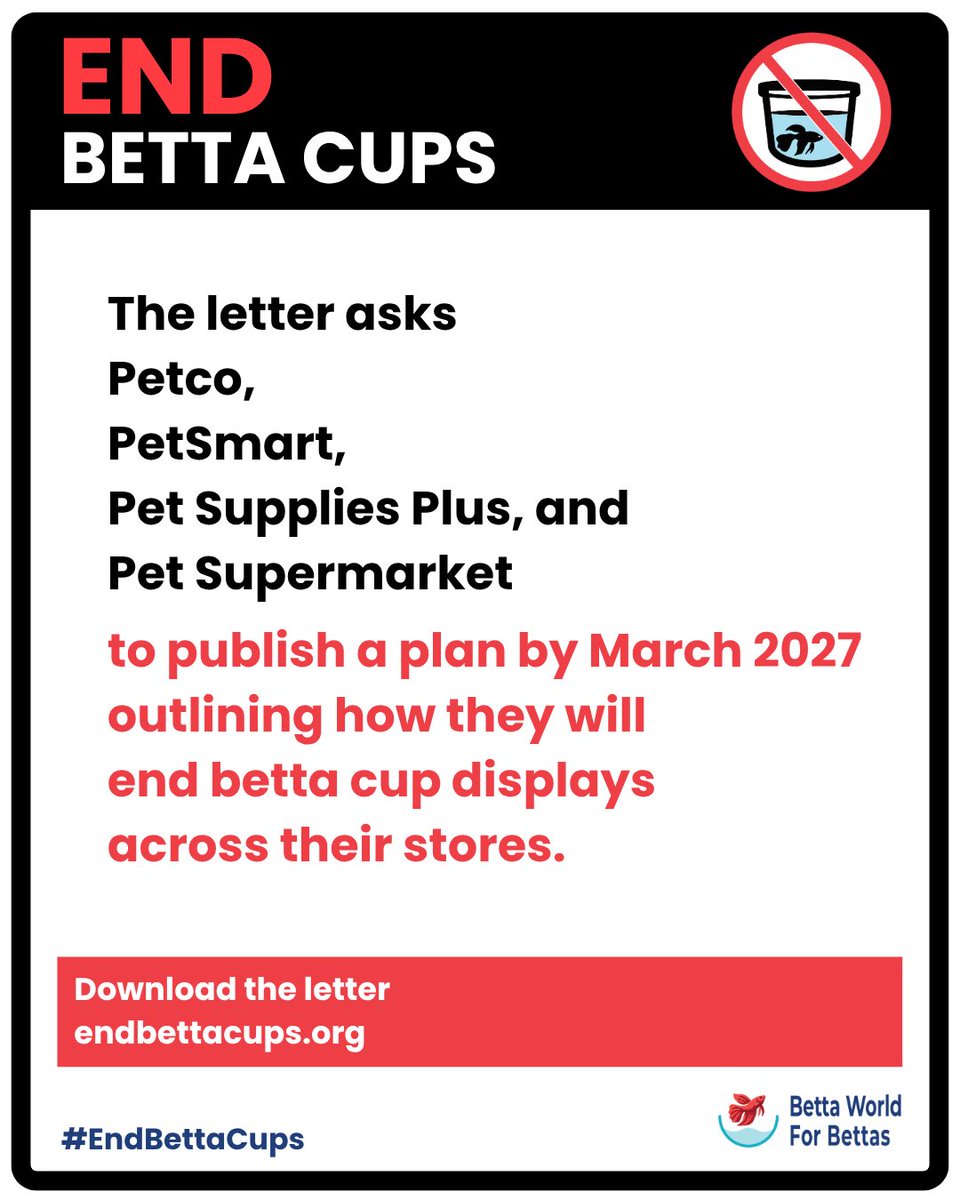 betta4bettas's tweet photo. Send an End Betta Cups letter to the corporate leadership of Petco, PetSmart, Pet Supplies Plus, and Pet Supermarket

https://t.co/vgGSkrcqug

#endbettacups #bettafish #fishkeeping #aquarium https://t.co/eRXxQtBsz2