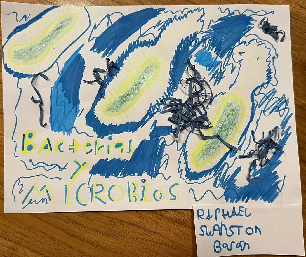 mist_py's tweet photo. 👇 CONOCÉ ESTA OBRA: 
Artista: Raphi - 8 añitos! Colegio Estado de Israel 
Título: Pequeños gigantes del planeta: El viaje de las bacterias con cilio @conacytparaguay @IntMicroDay https://t.co/sEXxJc5SHB