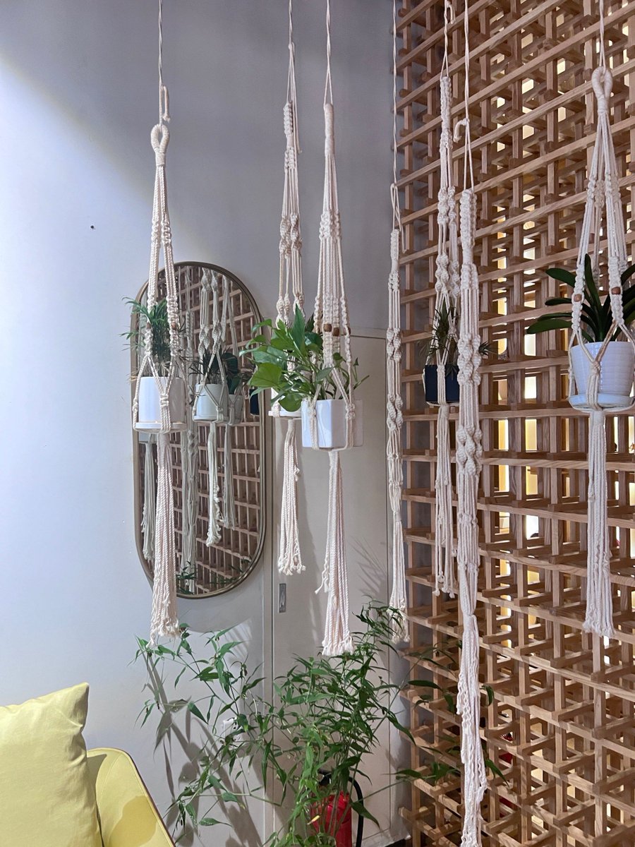 poppf389989's tweet photo. Handmade macramé plant hanger just finished! Perfect for sprucing up a boring corner of my apartment https://t.co/qWvfUCjhFi