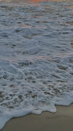 DavidJacksdag's tweet photo. Seagulls......Stop it now!!....Hmmm ha hmm hmm hmm ha hmm hmm ha!! https://t.co/bMItG3y0Xk