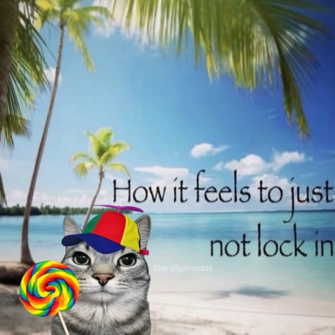 literallymecats's tweet photo. https://t.co/U05ooYZovC