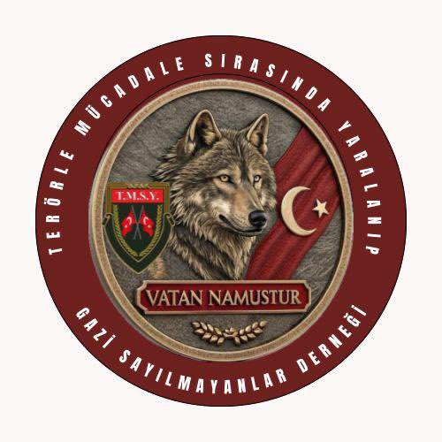 SenolErsin's tweet photo. @ErtugrlGaziTmsy @TmsyGaziler @tcbestepe @RTErdogan @MHP_Bilgi @dbdevletbahceli @tcailesosyal @MahinurOzdemir @ztarikdaroglu @SayimMadak @ashb_sehitgazi Canımızla yazdığımız destanı, vefanızla yaşatıyorsunuz.*
 Tüm devlet erkanına teşekkürler
#GaziyizArtık

@RTErdogan
@dbdevletbahceli
@MahinurOzdemir
@hulusiakarmedya
@celebimehmeta
@ztarikdaroglu https://t.co/s4RhilILns