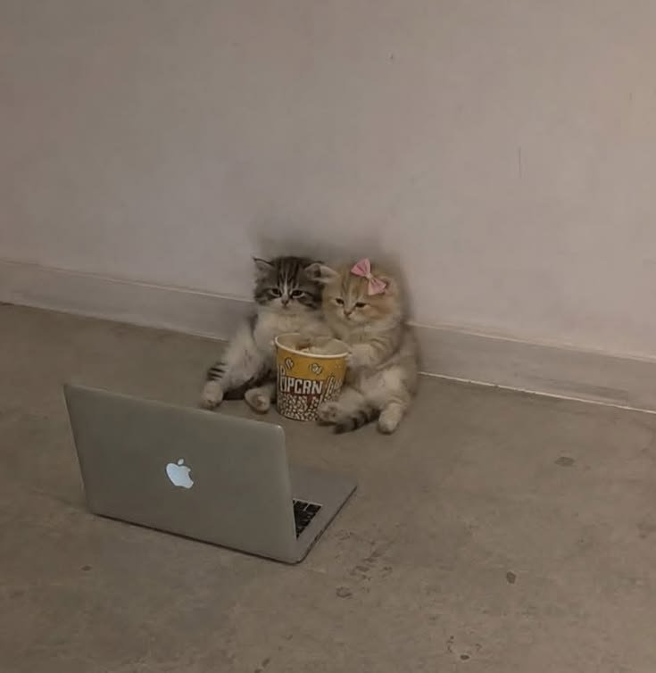 nekocatts's tweet photo. https://t.co/TJDBvgOvaA