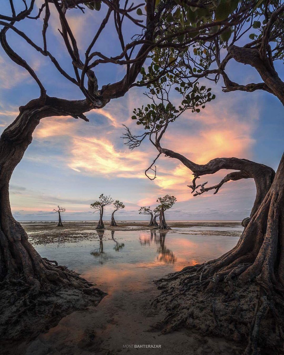 aileq080486's tweet photo. New to photography Start with mastering natural light—golden hour (1hr after sunrise/before sunset) makes every subject pop, no fancy gear needed! https://t.co/vg6RYxDapb