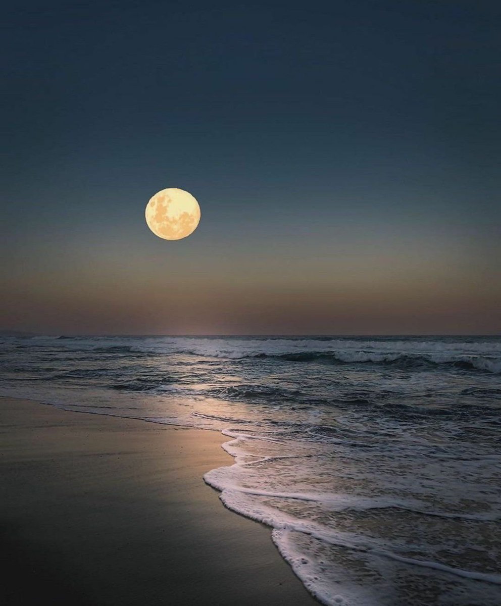 Bader35741909's tweet photo. لن ألقي عليك السلام بعد اليوم ...لم تعد حنجرتي تقوى على رفع الصوت ...سأكتفي بالقبل. 
بدر الهادي https://t.co/xzdqctaKtB