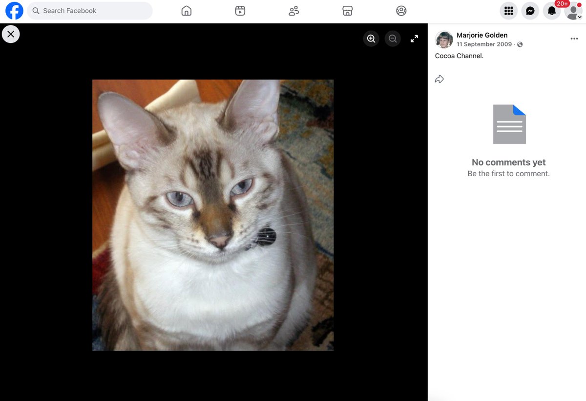 _Atomiqq's tweet photo. 0xfd74c166f057dd79eaa8848f4512a5fe6eb4670e

This is Arc Founders cat... posted to her facebook in 2009 https://t.co/0rH2jgvG9C