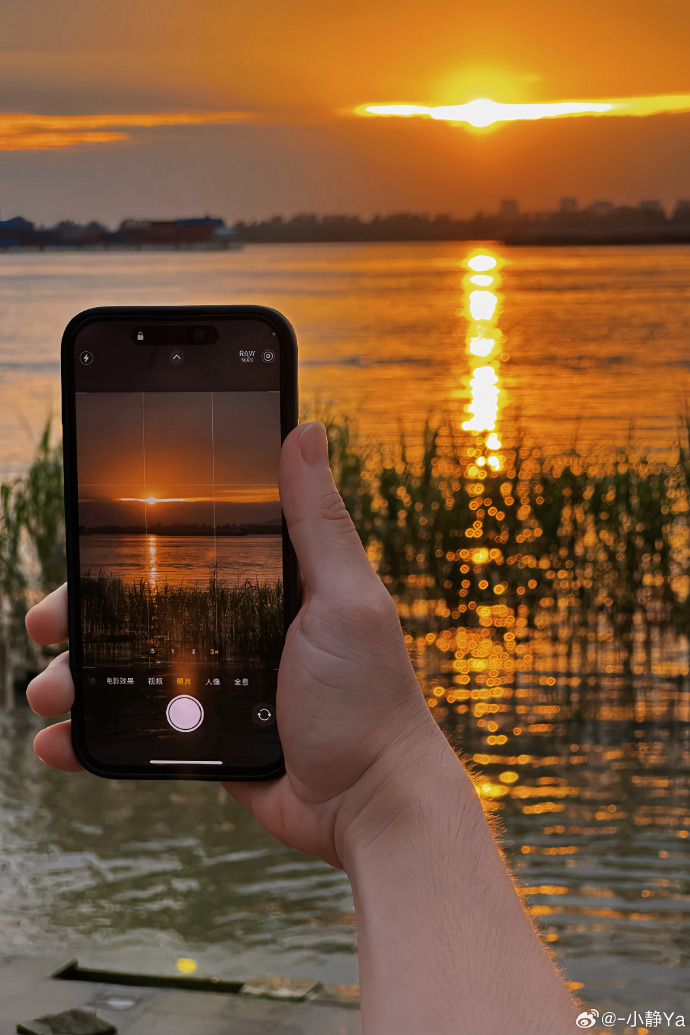 softq123655's tweet photo. New to photography Start with natural light—golden hour (1hr after sunrise / 1hr before sunset) makes every subject glow, no fancy gear needed! https://t.co/qbEzcnN2Hi