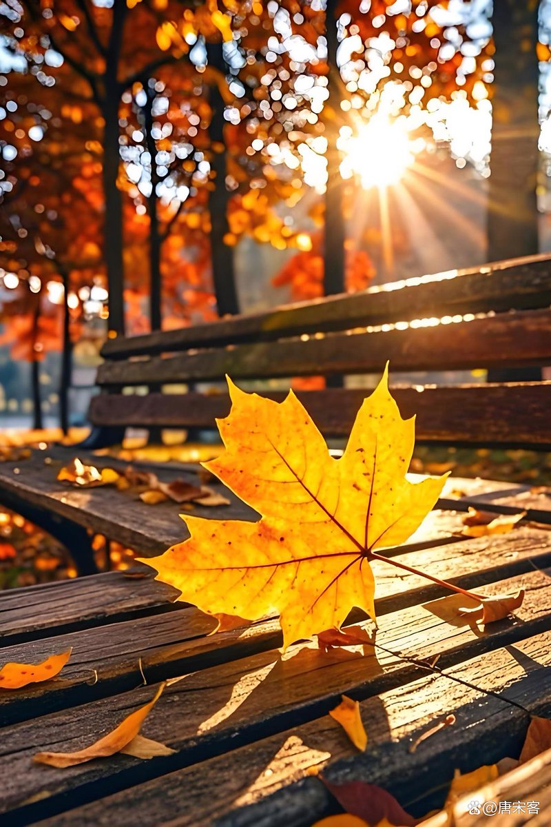 justl257620's tweet photo. Sunlight filters through autumn leaves, crisp air makes everything feel cozy. https://t.co/IxMebOjAsr
