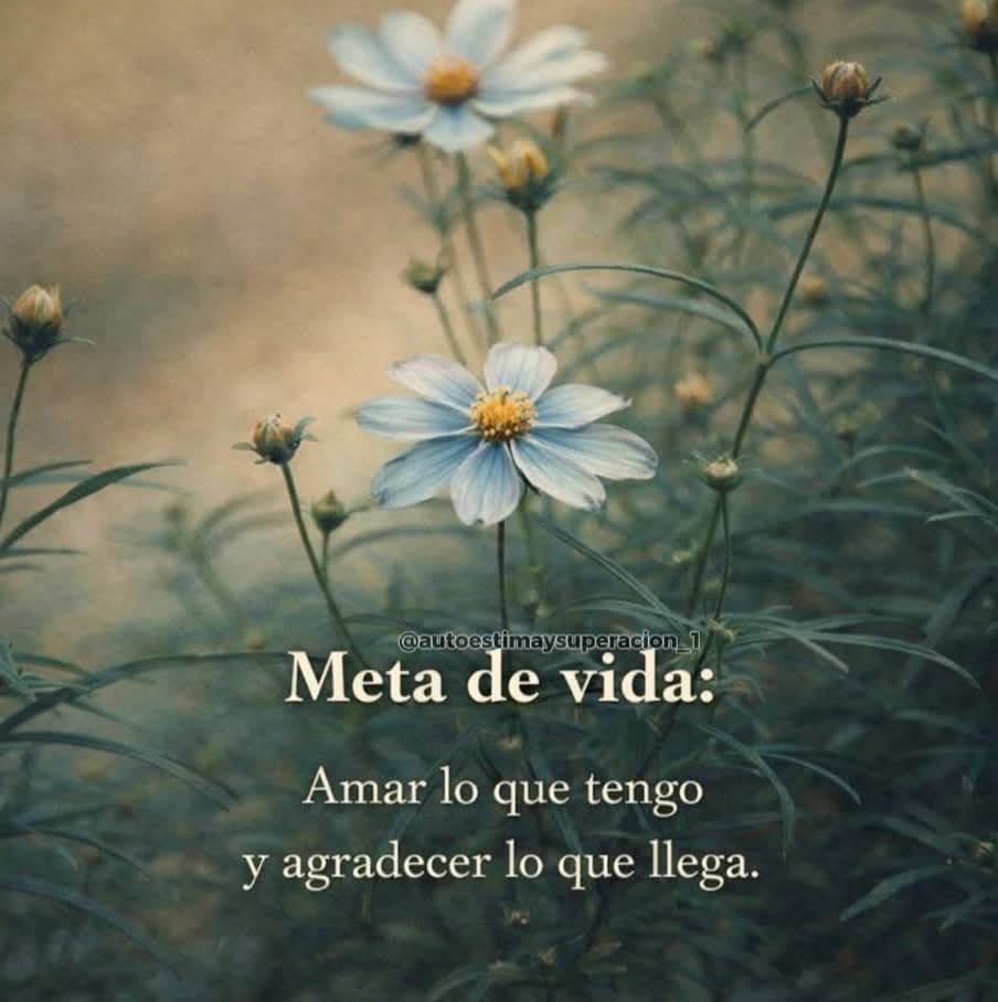 sofyrodjz's tweet photo. https://t.co/H4nhclDApb