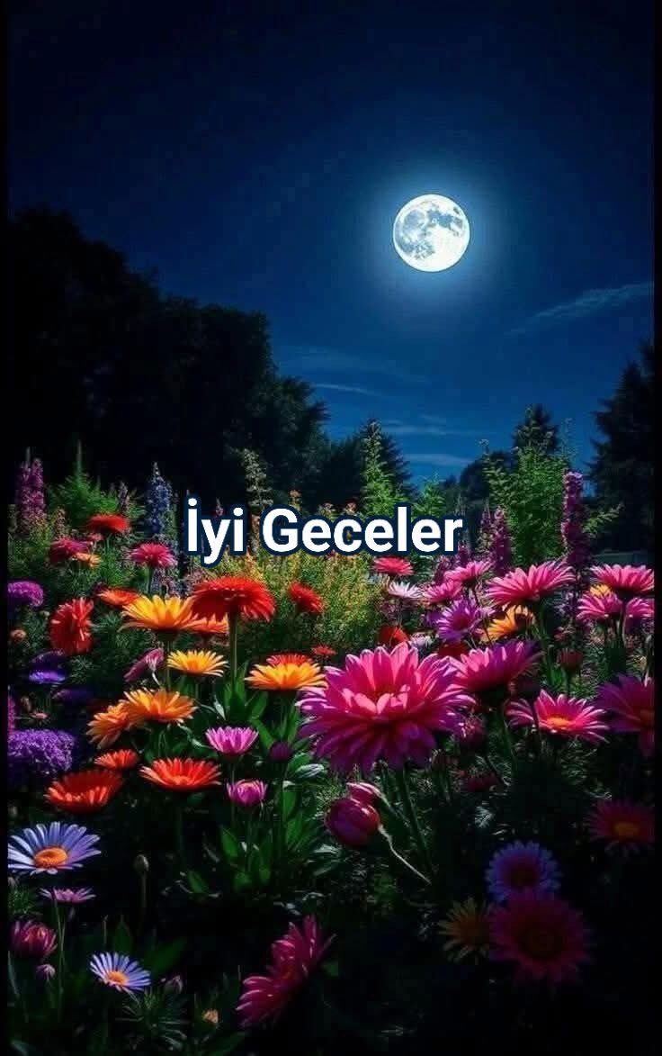 TOPRAK_TC_'s tweet photo. @MuminMufit @hakkisallier @TOPRAK_2_ @ceyhu1278803 @koczeynep123 @hzlandrc @AdayEsat @avukatbahatttin @TC_TOPRAK_ @AtakiziSeher @zsoytan1881 @Dede38__ @DoganHaydar62 @ZSoytan @atam_iz_indeyim @IsyaniMualla @Fikriye59 @Aslican_33 @sakineozkaya @zllktlr @kenan12_erol @Mehmeta31920234 @ceyhan952421016 @hursitdagli @turkcemile66 @Kizilay16S @AtaminKiziyim @Ceyhan95249560 @KemalSariyildi3 @LeventSarolu16 @nesrinertass @AvSaBber @ender_ozyurt @pek20862298 @opekel @MehmetK10308253 @Muzaffe99664861 @AliAbdal05 @Son_moohican @62Fgn @sonmarti1 @fergin23 💛🇹🇷HAYIRLI GECELER🇹🇷💙
💙🇹🇷Huzurlu Bir Sabaha
Uyanmanız Dileğimle🇹🇷💛♡
╔══╗#GECENÎZ #Sevgi Dolsun
╔╬╗#İstediğiniz Her Şey #Gerçek Olsun╔╬╗Hep #Huzurlu Olun ..♡
╚═╬╝Sonsuz #Mutluluklar Sizin
───╔Her Şey #Gönlünüzce Olsun.
────║ #Yürekten #Sevgiler..☕🙋♀️ https://t.co/XumBM2Ix93