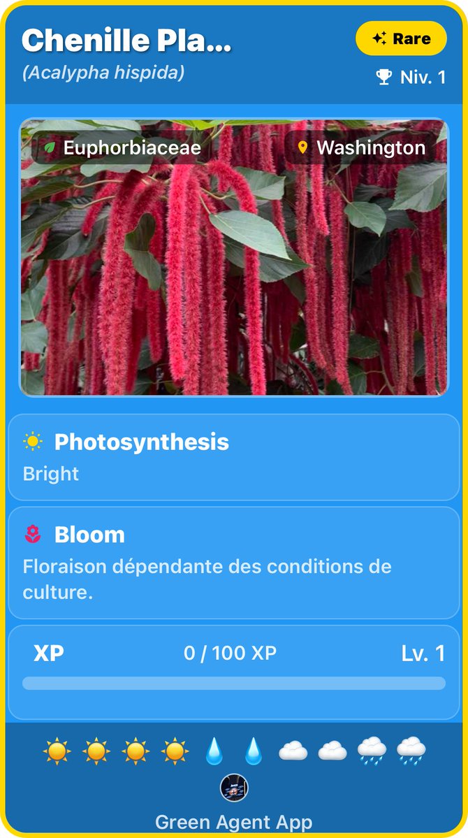 GreenAgentApp's tweet photo. 🚨 Rare plant discovered in Washington! 🌿

Acalypha hispida has just joined a Green Agent collection. 🏆

📍 Washington
✨ Rare
🌱 Level 1
The world is full of plants waiting to be discovered.
 How many will you collect?
#GreenAgent #PlantHunting #PlantCollection https://t.co/7xHm43atL1