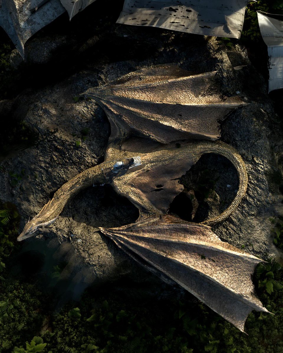 westerosies's tweet photo. Official early concept art of a grounded and unconscious Sunfyre in ‘HOUSE OF THE DRAGON’ Season 3.

🎨 @KBelshaw42 https://t.co/3ugtkEuAuC