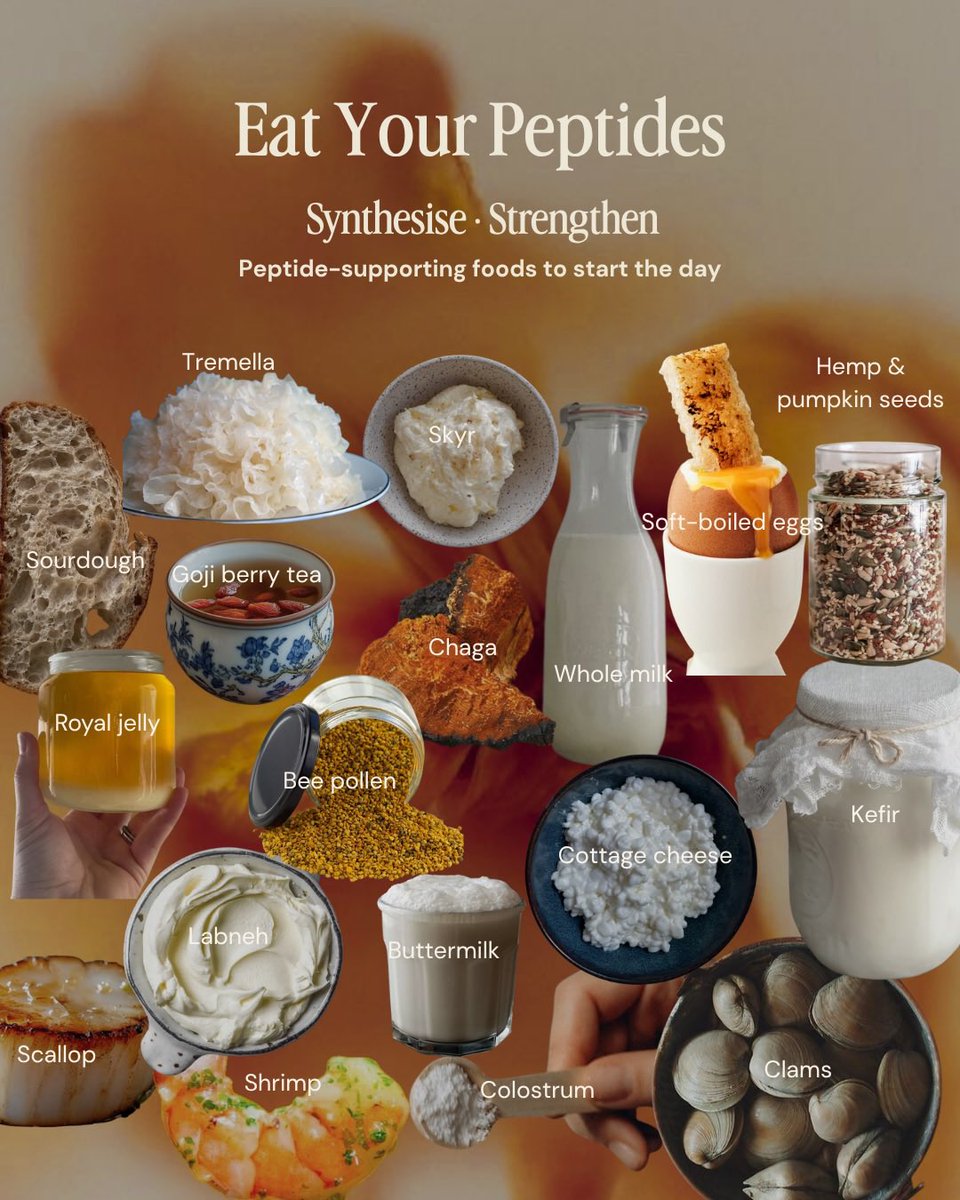 MagnusVigso's tweet photo. Eat your peptides https://t.co/mXDJG40Ttc
