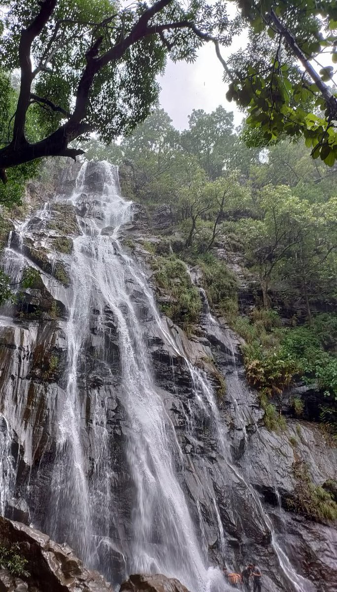 lunaaestt's tweet photo. Bee falls Pachmarhi, India https://t.co/jSqv4kAC6A