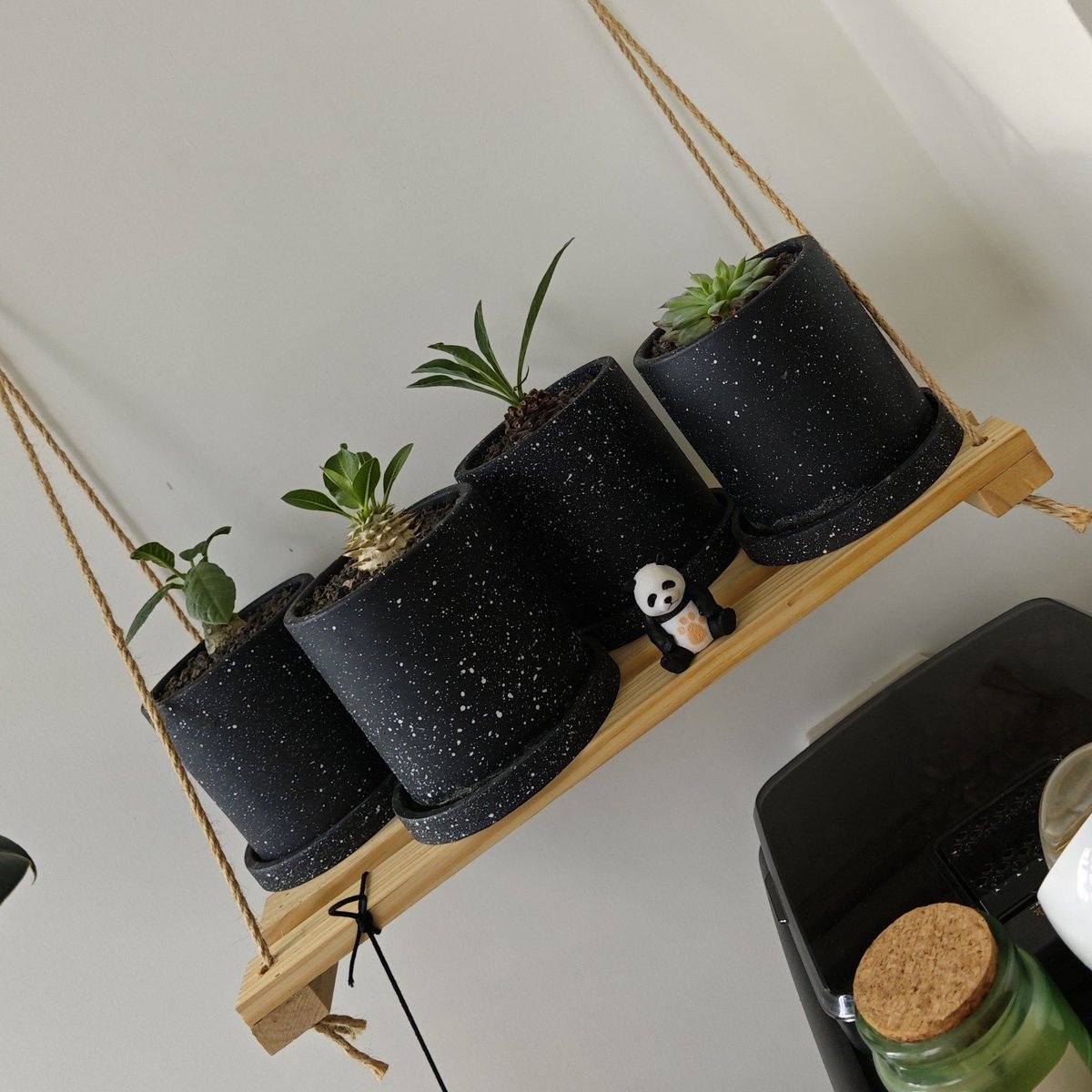 littr056975's tweet photo. DIY a macramé plant hanger in 30 mins! No fancy tools needed—just cotton cord + a simple knot trick. My new succulent home feels so much cozier https://t.co/JGGRj0FLrz