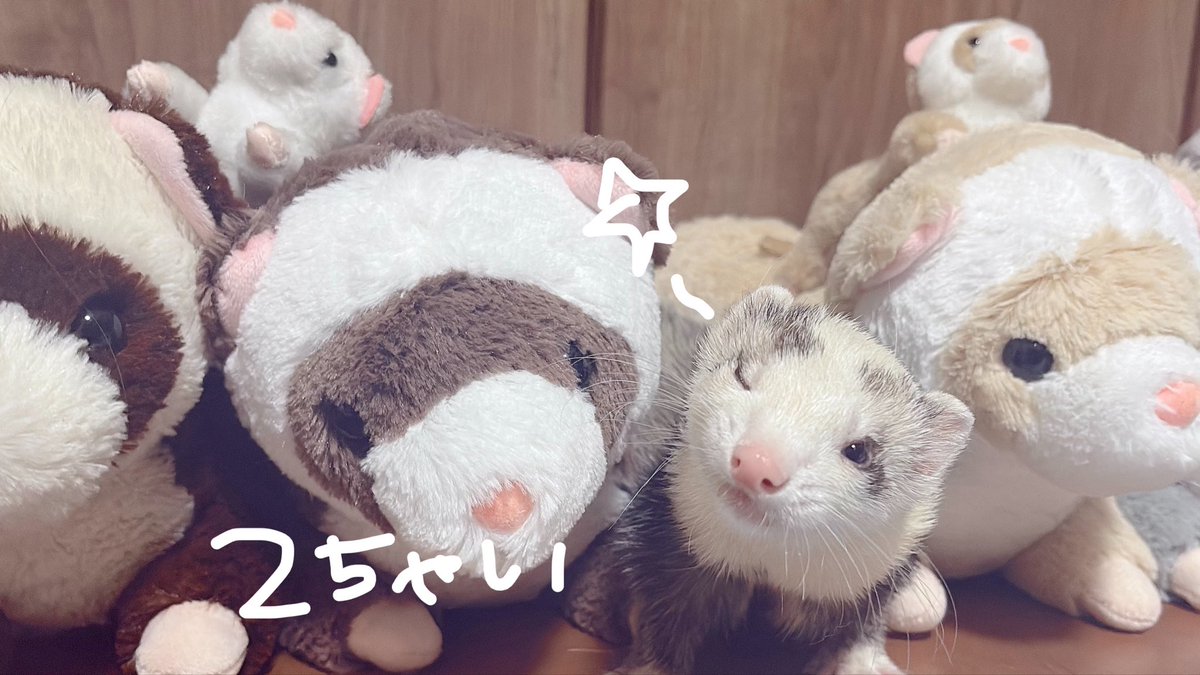 96_yuo's tweet photo. https://t.co/U0nInnEMzt