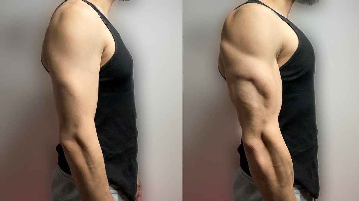 theoliveranwar's tweet photo. The workout most people mess up:    

Arm day.    

So I made the perfect routine to get MASSIVE arms. 

Here is the only routine you need for huge biceps and triceps (bookmark this): https://t.co/dpbq9fkZXA