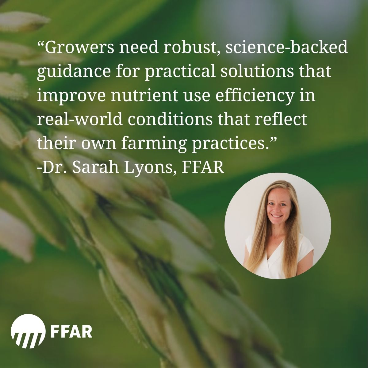 FoundationFAR's tweet photo. Farmers are facing increasing pressure to maintain crop yields amid rising fertilizer costs and increasing ecological impacts.

They need science-backed guidance for practical solutions that improve nutrient use efficiency in real-world conditions.

Our Efficient Fertilizer Consortium was formed with various key crop sectors such as @CottonInc , to ensure the research reflects practical production needs and real-world applicability.

Today we're announcing the 2026, $9.3M investment to improve nutrient use efficiency across different agricultural systems.

Listed below are the 2026 Efficient Fertilizer Consortium awardees: