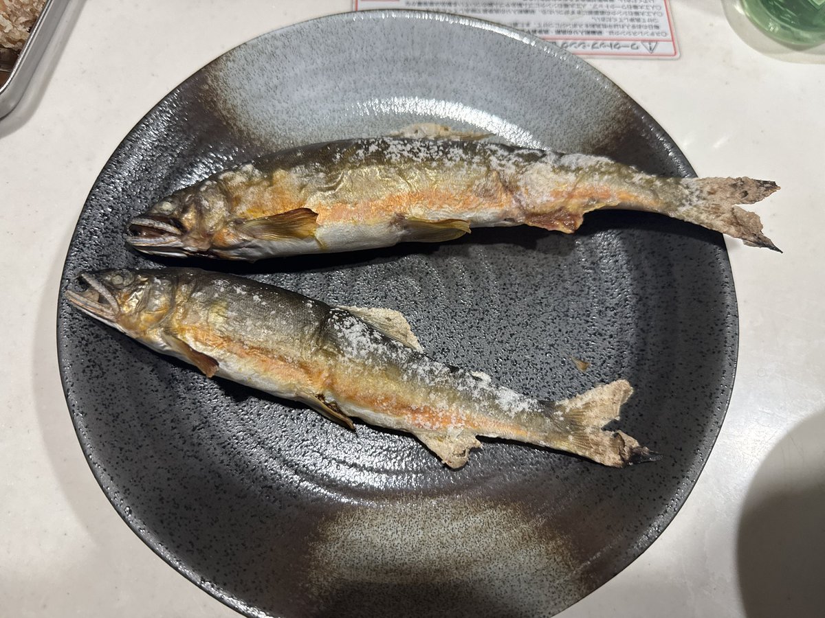 shinmvsm's tweet photo. 断食終了。
商品に手を出��てやったw
2週間空けたら白子パンパン！ https://t.co/dAJccAhwVW