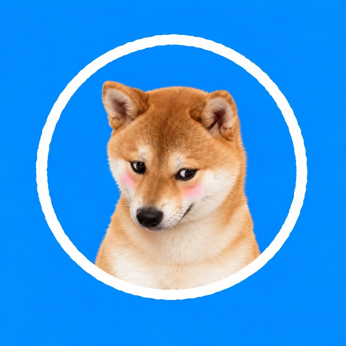 DogInCircle's tweet photo. Whats wrong with my $DIC ? https://t.co/YHvoUroJm3