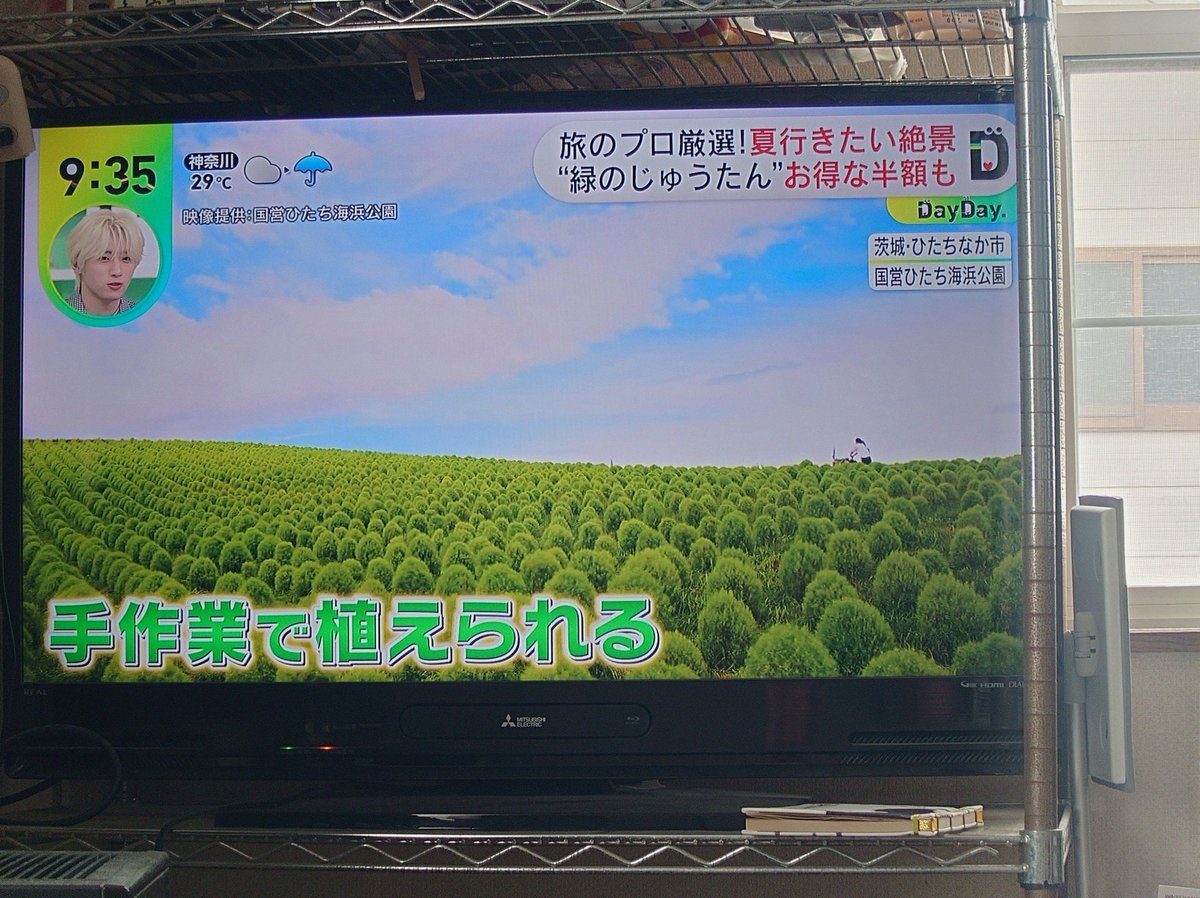 Oxcloptonabil's tweet photo. うわ、四作目のアグレッサーズの文庫版はもう買って持ってるけど、五作目インサイトはまだ文庫化してないのか！えー、まぁ単行本去年の二月刊行だしなぁ、アグレッサーズの文庫化も三年かかってるし、待つよか単行本で買うしかないか… https://t.co/tcUOmV37ys