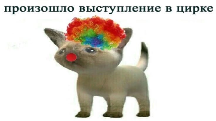 HodzukiZ's tweet photo. Зна��те вот эту вот ситуацию, когда ты активно общаешься с человеком, а потом ты шутишь в ответ на какую-то его шутку, и все - он читает и не отвечает?? 
Так вот, это https://t.co/A13gqxvQJR