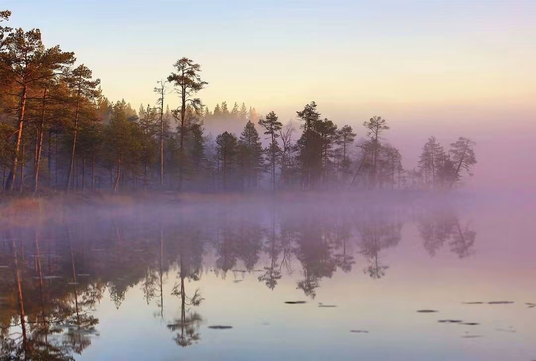 PHatunen's tweet photo. Varhain aamulla...syyskuussa
17.9.2016.
#autumn #septemper #earlymorning #misty https://t.co/sWH1Ktda2E