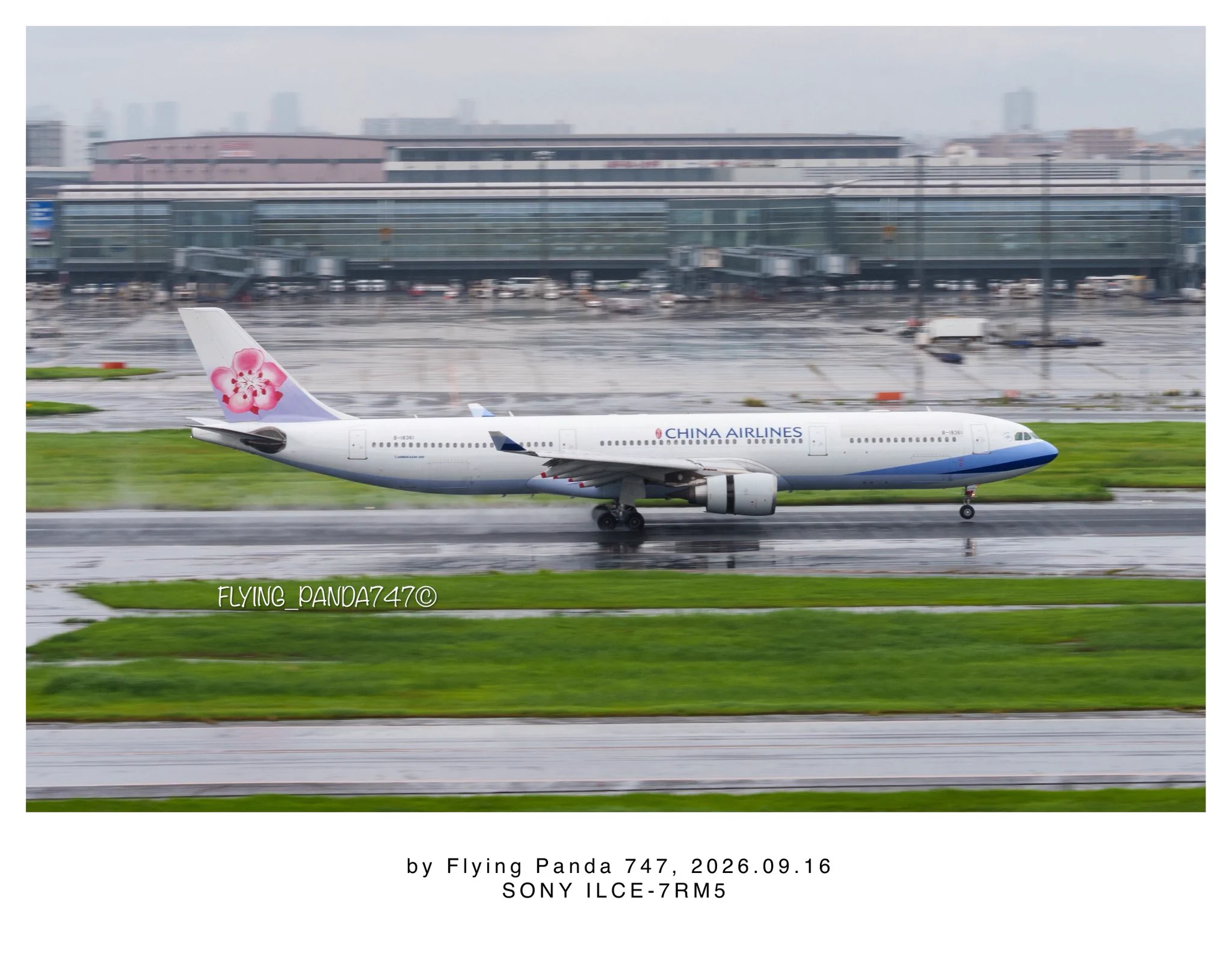 Flying Panda 747 on X: 