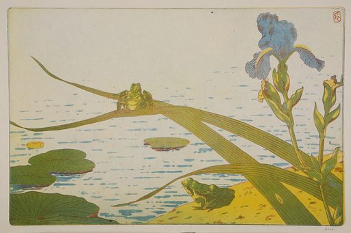 heatonmoorpark's tweet photo. Frogs and the park....Frog Watch USA #frogs https://t.co/uajEml3IMg https://t.co/QqnmIOKYsZ