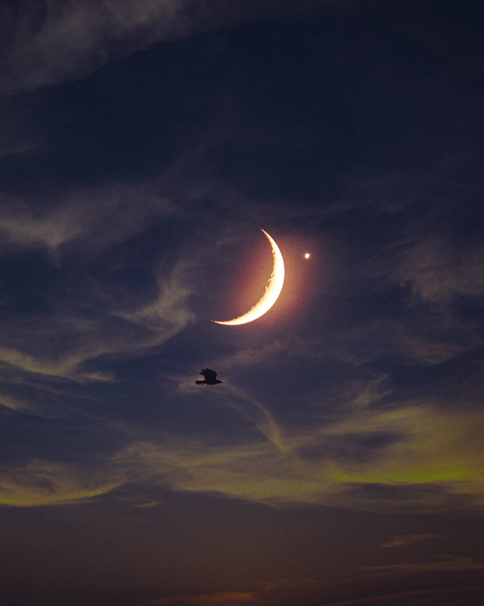 purelivn's tweet photo. moon and venus https://t.co/v5X14W29ay