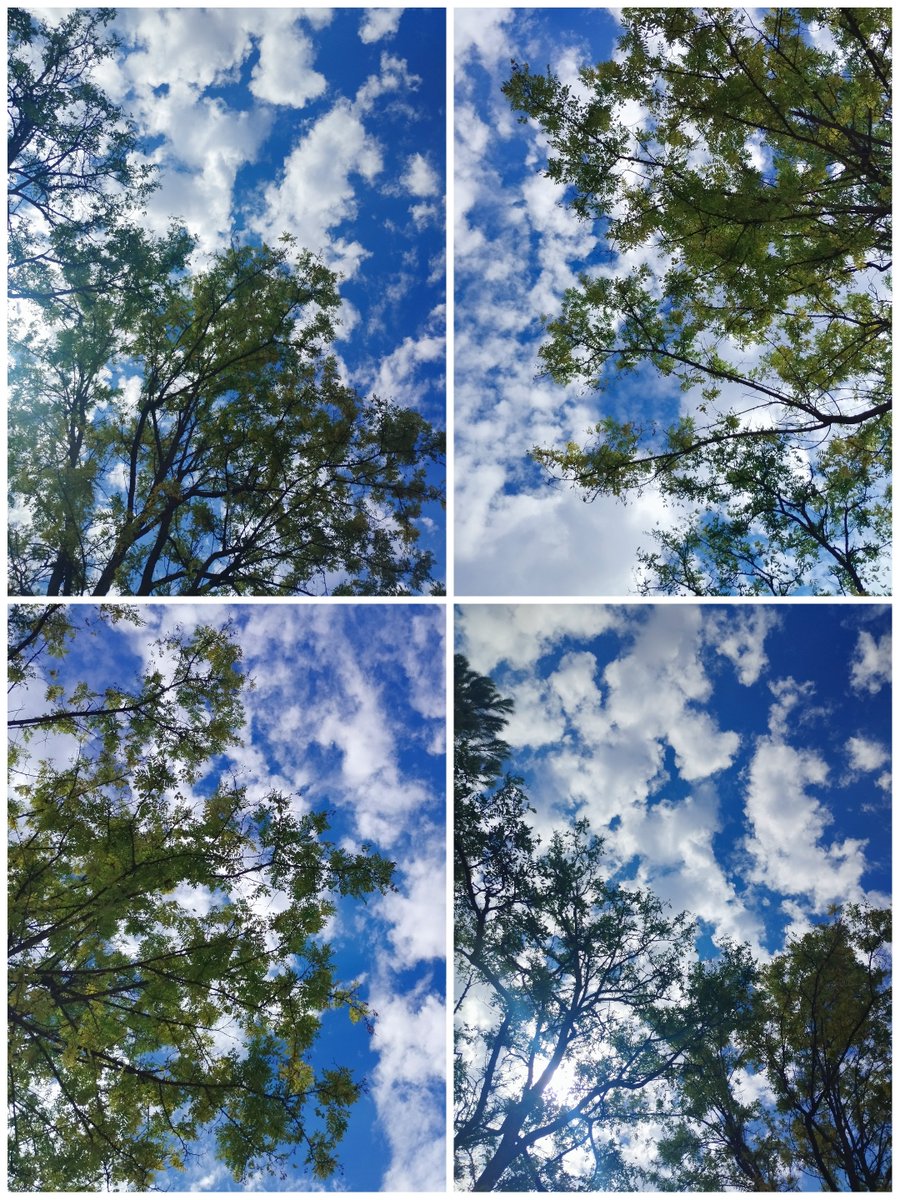 LOLA_CULE's tweet photo. Un paseo por mis nubes.
#MiCielo (Desde mi calle.)
#Mièrcoles Nuboso,fresco
y airoso.A ratos nublado.
Pero sin lluvia.(Que se esperaba.)Y esque..A veces, tenemos dias,de los que esperabàmos màs..Y sin embargo,nos llega menos,
de lo esperado.
Fluyamos como el tiempo.#Cuidate 🩵 https://t.co/AskhclkGQQ