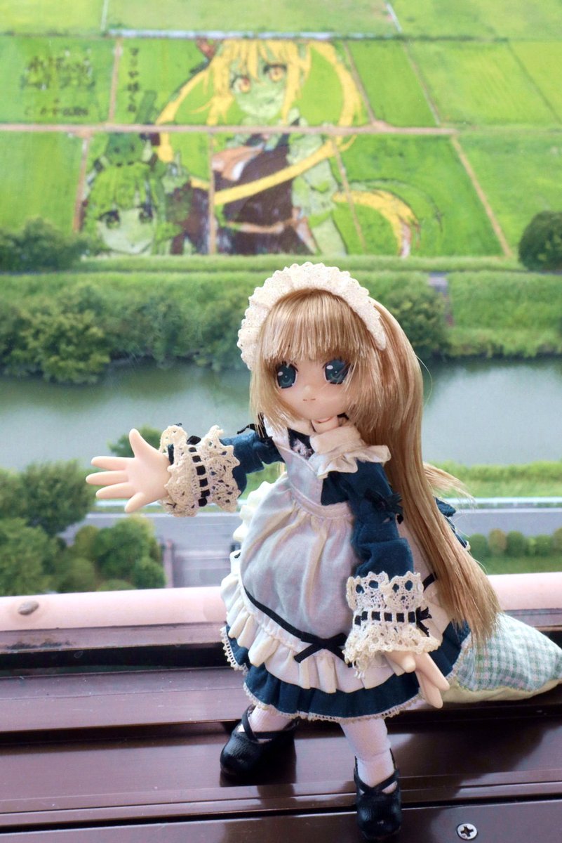 laurariib's tweet photo. ボスケテTもメソTも完売してるじゃん… https://t.co/iLDrePBnMH