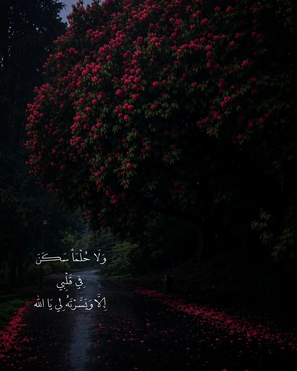 _Alfar00Q's tweet photo. يا الله.❤️❤️ https://t.co/i5XnxOKDAi