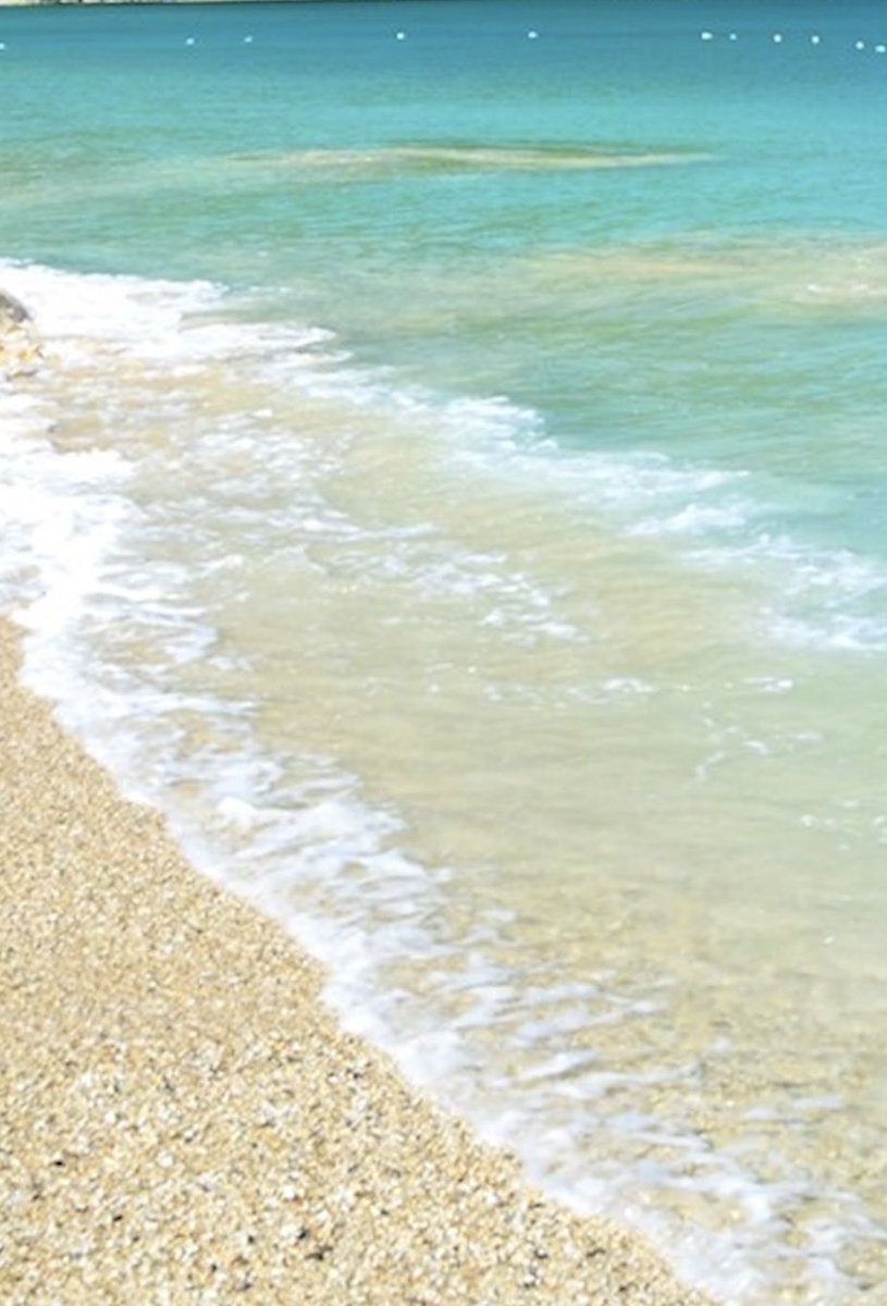 CoachMunch_'s tweet photo. May be the craziest one I have found yet.

The exact beach Squirtle is standing on from 151.

How insane is this!? https://t.co/43rrN7Bk0b