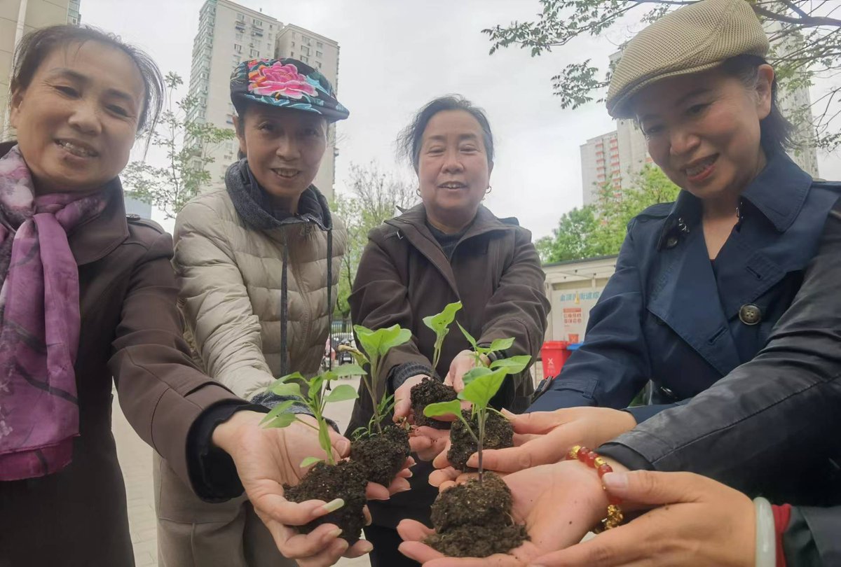 jjs4865's tweet photo. [Community garden volunteer day this Sat 9am! Help plant veggies, meet neighbors, and get free homemade snacks. All ages welcome, just bring gloves!] https://t.co/v25rA5PhCp