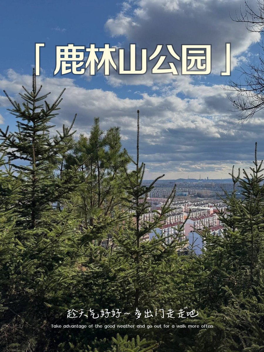 hanbeom860119's tweet photo. Just wrapped up a sunny day hike in the city’s central park, spotted a family of deer by the lake—total perfect way to escape work stress! https://t.co/T4RFKq5MXQ