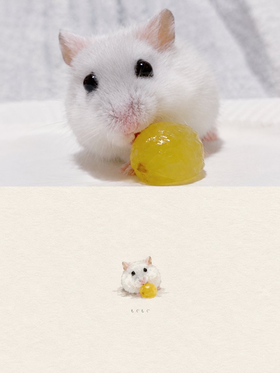 milmil814's tweet photo. 流行りのやつ🖌🐹ྀི✨ https://t.co/4kFME9bGNw