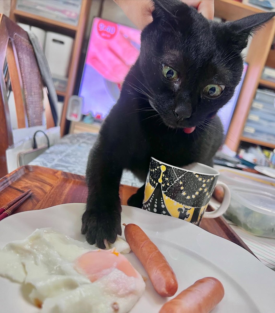 BreannaStrgj7's tweet photo. Apprehended! Caught red-handed! https://t.co/uXcvZQj3PV