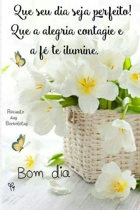tuitassu's tweet photo. @gateirassumida Bom dia! Lindo dia pra vc! https://t.co/rjVqTcjIo3