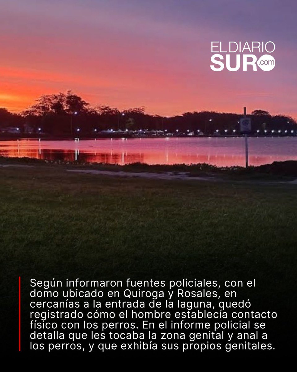 eldiariosur's tweet photo. Zoofilia en la laguna de San Vicente: detuvieron a un joven de 29 años

‼️ Un joven de 29 años fue detenido este miércoles a la madrugada en la laguna de San Vicente, acusado de realizar actos de zoofilia con perros que se encontraban en la zona. La situación fue vista a través de las cámaras de seguridad del Municipio y los operarios del centro de monitoreo alertaron a la Policía.

👉🏻 ¿Qué vieron desde el centro de monitoreo? Según informaron fuentes policiales, con el domo ubicado en Quiroga y Rosales, en cercanías a la entrada de la laguna, quedó registrado cómo el hombre establecía contacto físico con los perros. Fue minutos después de las 2 de la mañana. En el informe policial se detalla que les tocaba la zona genital y anal a los perros, y que exhibía sus propios genitales.

📹 Tras recibir la alerta del centro de monitoreo, llegaron móviles de las patrullas municipales al lugar y comenzaron a seguir al sospechoso. Finalmente oficiales de la Policía Bonaerense lo detuvieron y trasladaron a la Comisaría Primera de San Vicente, donde permanece detenido.

📰 Lee la nota completa en la web de https://t.co/s09tZ82StV

#SanVicente #Laguna #Zoofilia #Detenido #ElDiarioSur