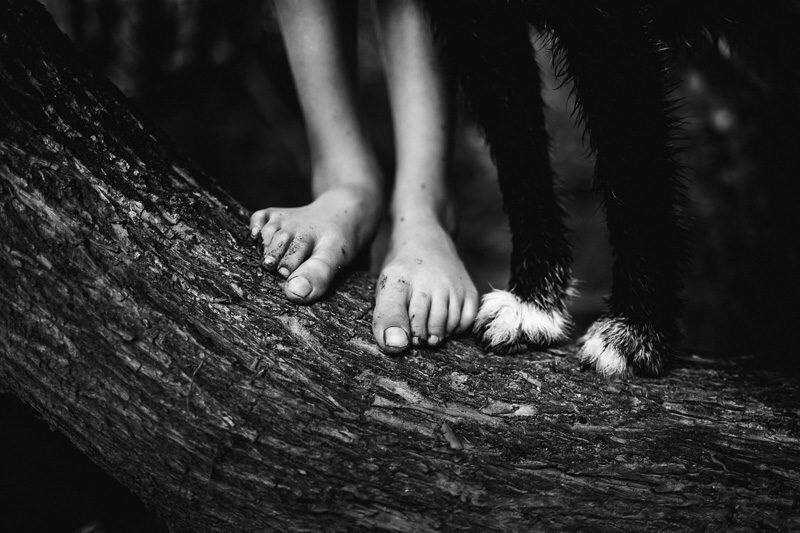 Odd_Vision1's tweet photo. They thought it was just an abandoned town… until the children realized they were never playing alone.🖤🌑

The children found the town by accident, hidden beyond the old forest. At first, it felt strangely peaceful. They played near the river, shared candy, and chased each other through the tall grass. But every photograph they took showed something different: a small, pale figure standing somewhere behind them.

That evening, one girl disappeared for only a few minutes. When she returned, she was silent.

“Where did you go?” her brother asked.

She pointed toward the woods.

A child was standing there, watching them.

Then she whispered, “That’s not a child… That’s what brings children here.”

Behind them, the river suddenly stopped flowing.