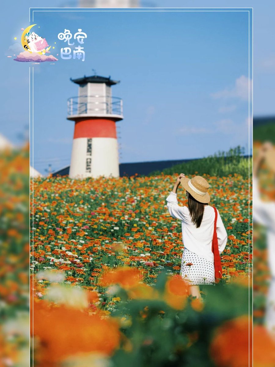 SophyLee20's tweet photo. 晚安秋天，风把鲜花铺成信，替我说一声好���。🍂 https://t.co/c8wig54WLr