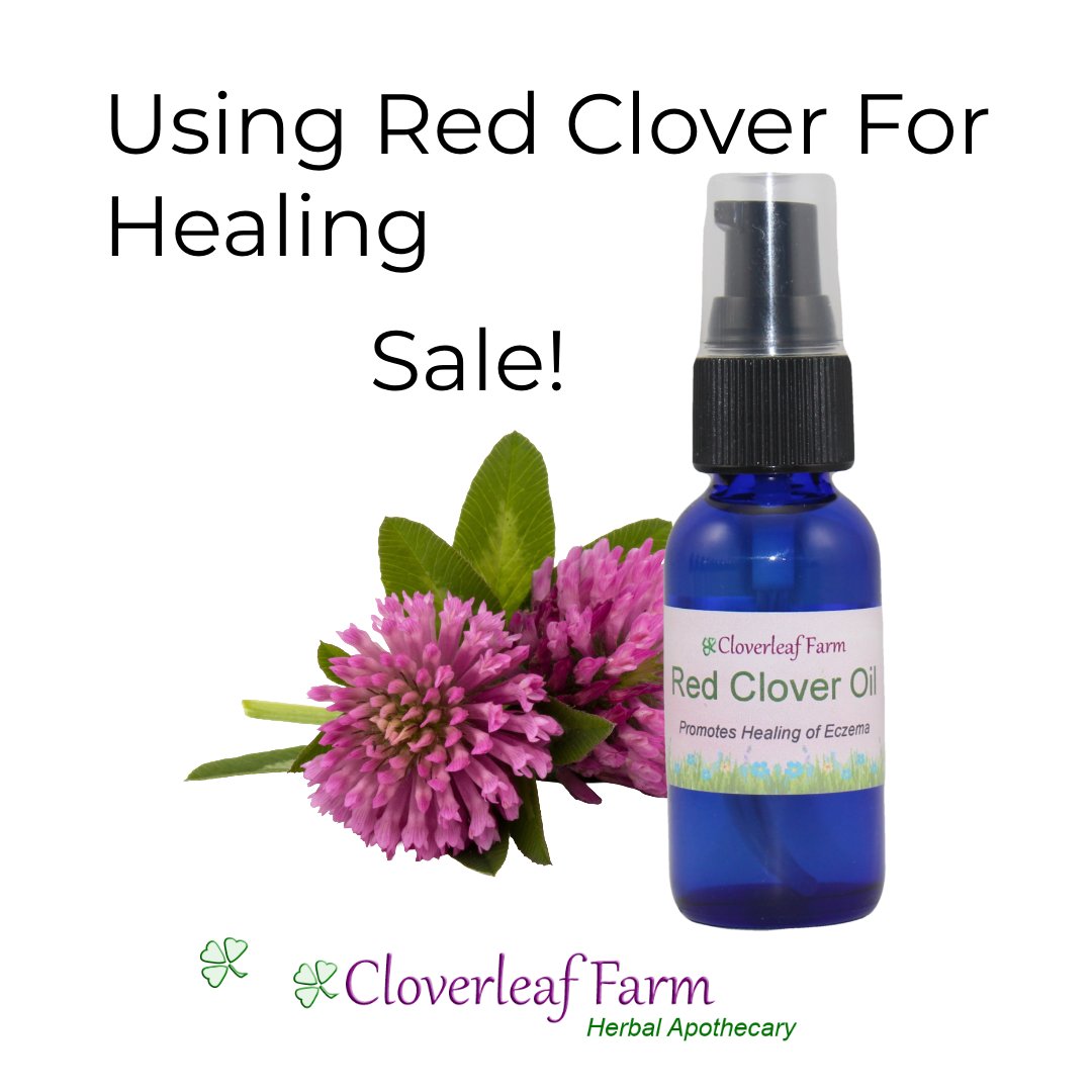 cloverleaffarm's tweet photo. Healing made easy 🌿
Get double the natural care with our Red Clover Oil half price sale! Perfect for soothing and healing your skin. Don’t miss out—shop now! https://t.co/abo8DS1f7y
#RedCloverOil #HealingNaturally #Sale https://t.co/Pc8SgiqaON