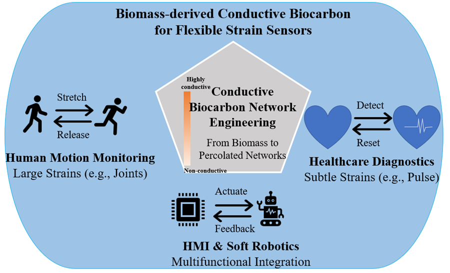 BioResJournal's tweet photo. From biomass to wearable tech🌱

Carbonized renewable resources could enable flexible, eco-friendly strain #sensors. This review explores carbonization pathways, conductive networks, &amp; sensing mechanisms.

https://t.co/brMLCYsGNI

#WearableTech #Biomaterials #BioResJournal https://t.co/qGYvLlp1ri