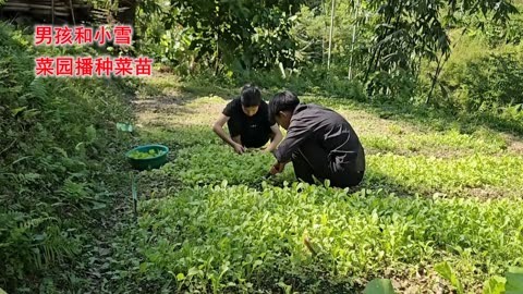 EnedinaVent5j's tweet photo. Free community garden volunteer day this Sat (10am-2pm)! Help plant veggies, make new friends, and take home fresh produce. All tools provided—no experience needed! https://t.co/7ANFAdog4X